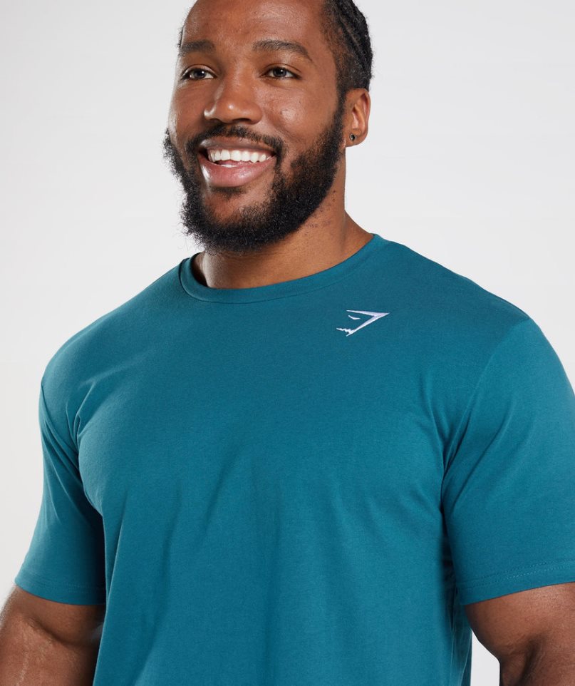 Men's Gymshark Crest T-Shirts Turquoise | NZ 2MWSFN